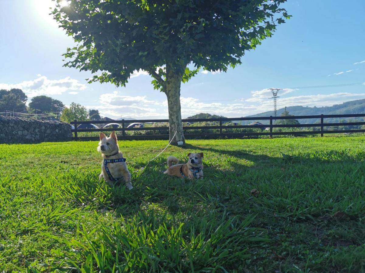Affittacamere El Espesedo de Cabárceno Argomilla Esterno foto